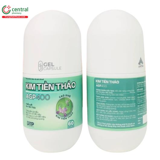 kim tien thao agp 400 1 P6132