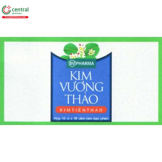 kim vuong thao 11 I3820