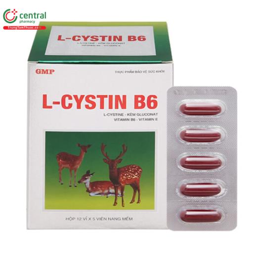 l cystin b6 1 A0433