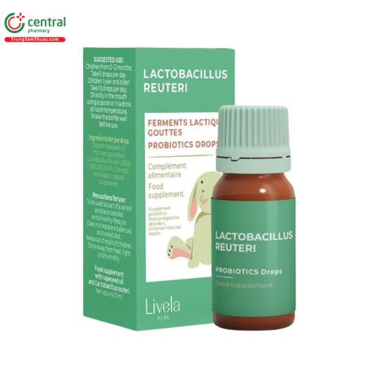 lactobacillus reuteri livela 1 Q6855