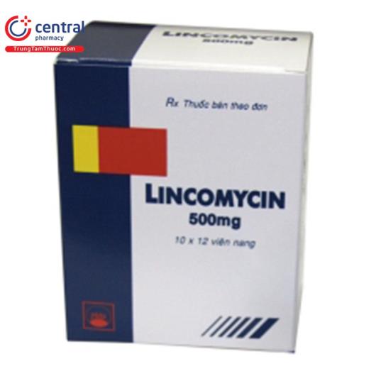 lincomycin 500 mg pymepharco R7083