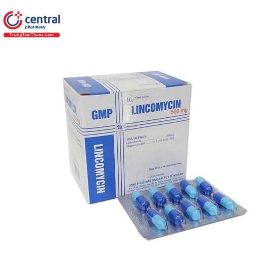 lincomycin cap 500mg N5664