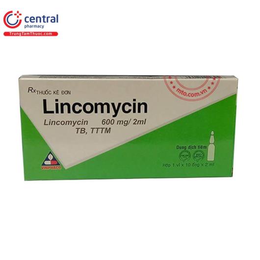 lincomycin600mg2mlvinphaco5 S7235