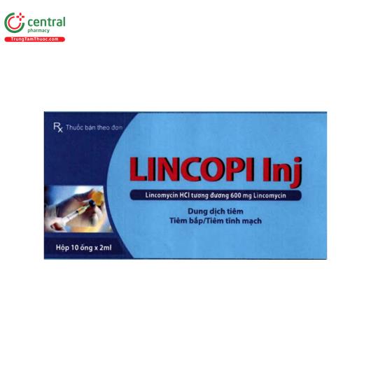 lincopi inj 600mg 2 I3122