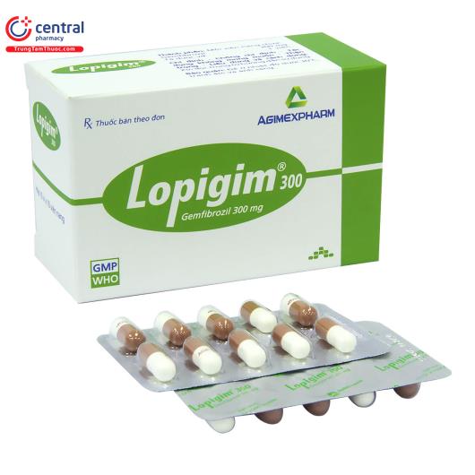 lopigim 1 S7273