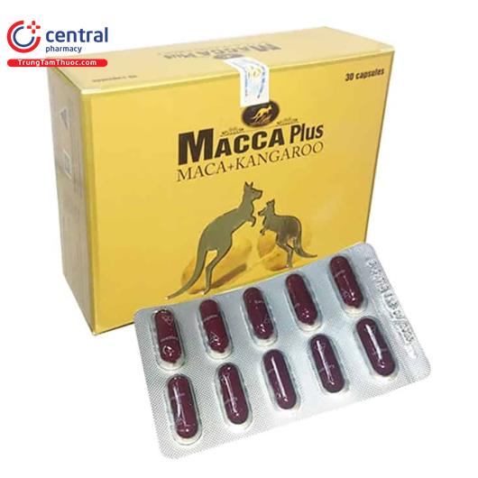 macca plus 12 H2433