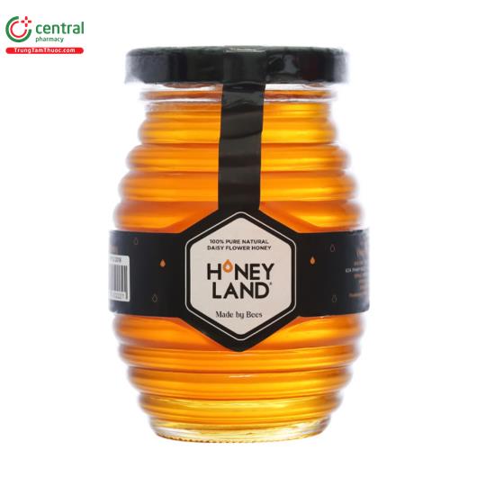 mat ong hoa xuyen chi honey land 1 J3600