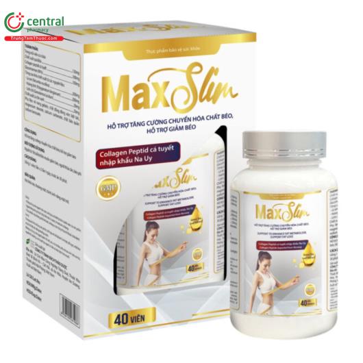 maxslim 1 L4201