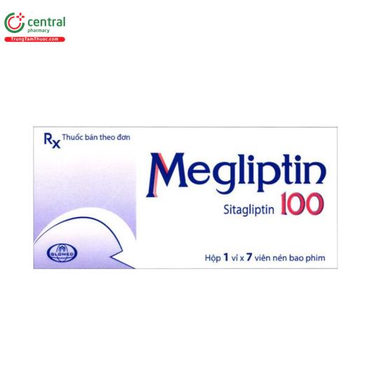 megliptin 100mg 2 I3648
