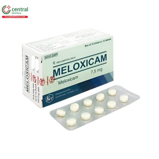 meloxicam 1 V8681