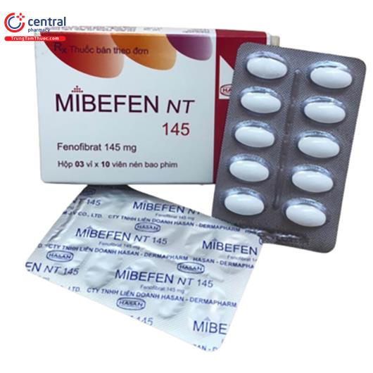mibefen nt 145 D1840