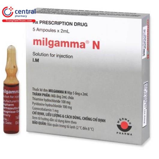 milgamma n 1 M5178