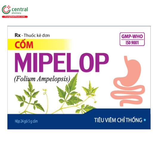 mipelop 1g 4 Q6185