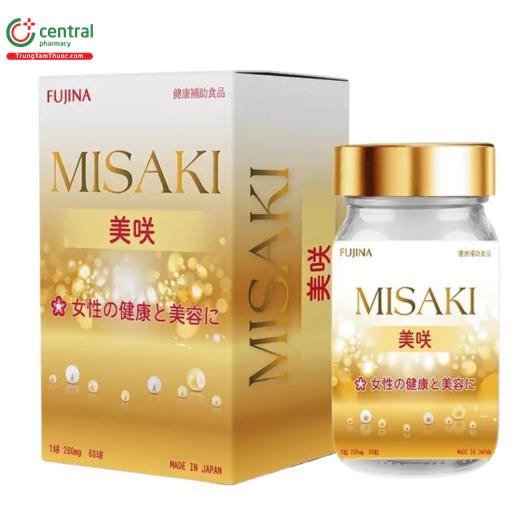 misaki fujina 1 E1050
