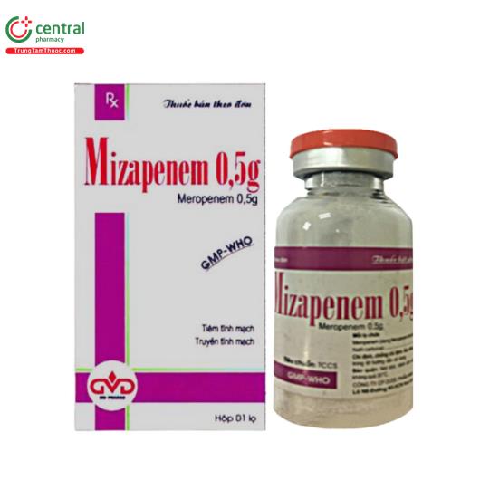 mizapenem 05g 1 E1085