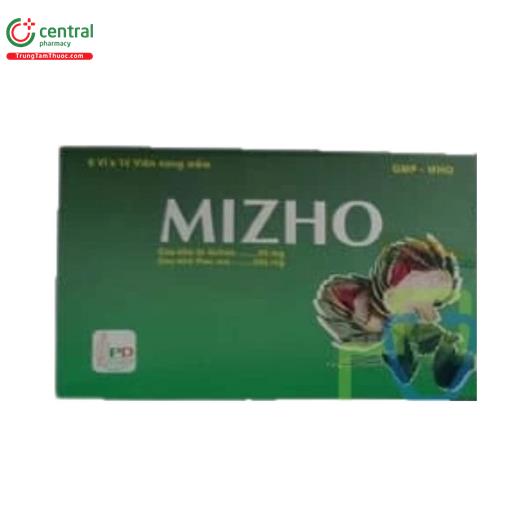 mizho 2 R6276