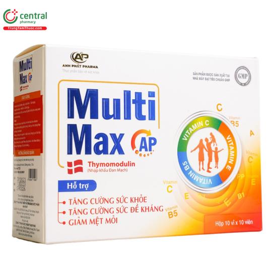 multi max ap 2 E1304