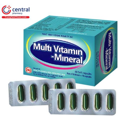 multi vitamin mineral phuc vinh 1 B0721