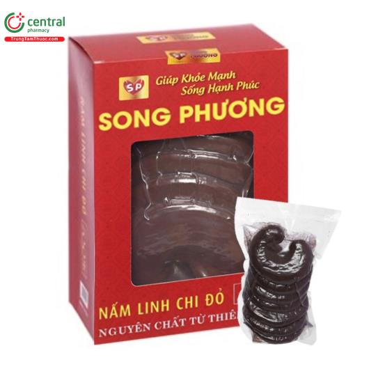 nam linh chi song phuong 1 G2403