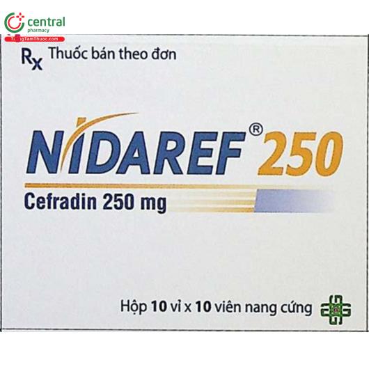 nidaref 250 6 A0061
