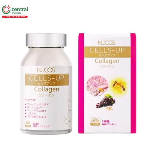 nucos cells up collagen 1 G2320