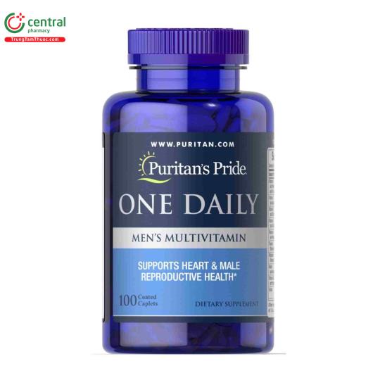 one daily mens multivitamin 1 N5310