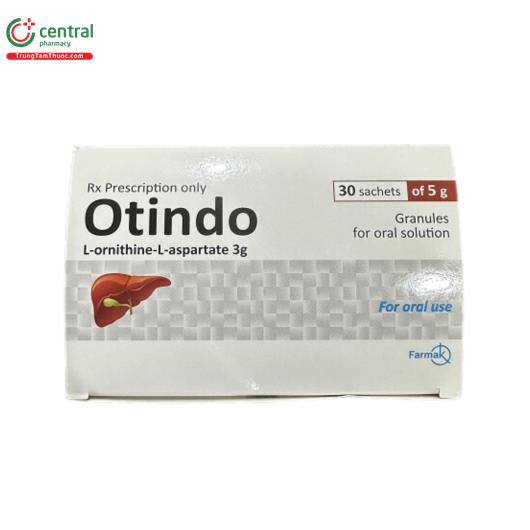 otindo 3g 1 H2004