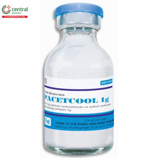 pacetcool 1g 8 K4852