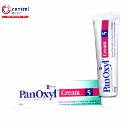 panoxylcream4 H2504