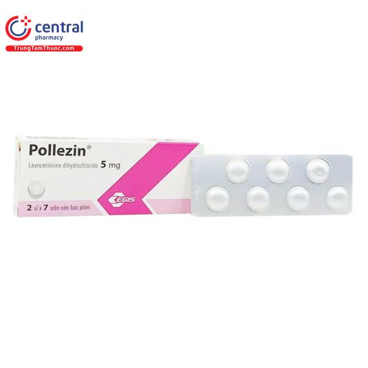 pollezin 1 P6531