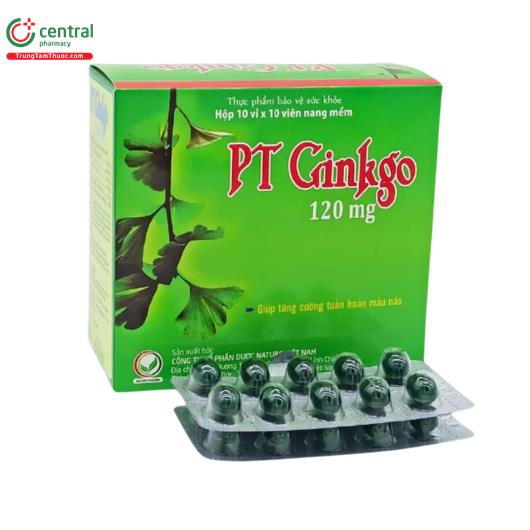 pt ginkgo 120mg 1 G2214