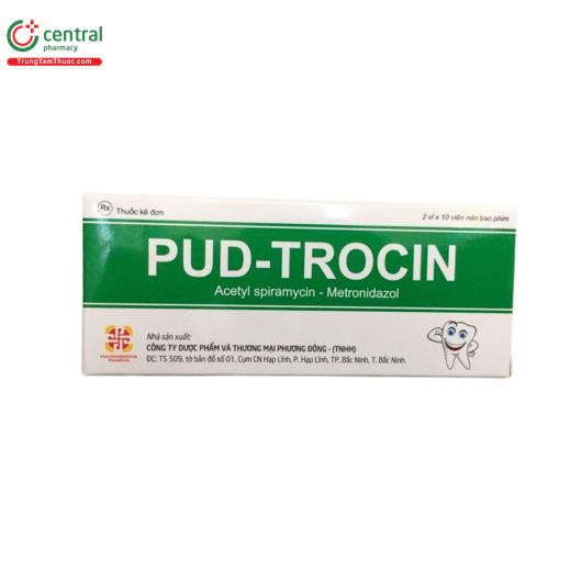 pud trocin 1 L4584