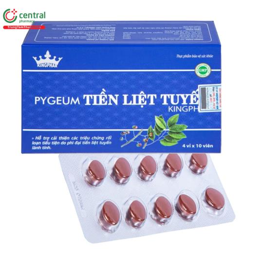 pygeum tien liet tuyen 10 M5224