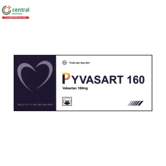 pyvasart 160 1 M4402