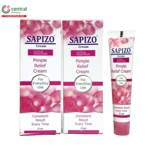 sapizo 25g 1 M5563