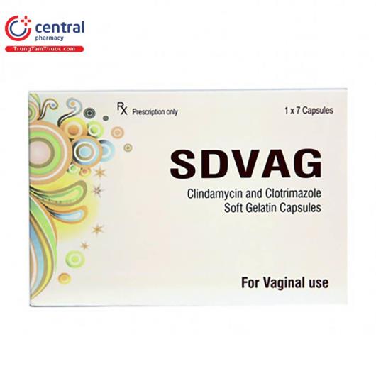 sdvag 4 J3122
