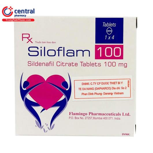 siloflam 100 1 J3284