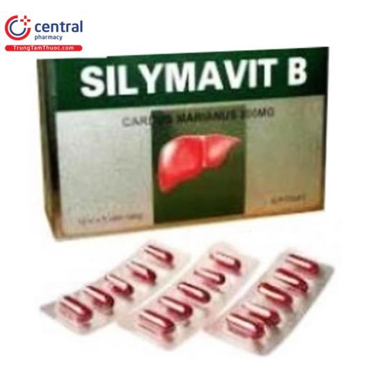 silymavit b 1 K4511