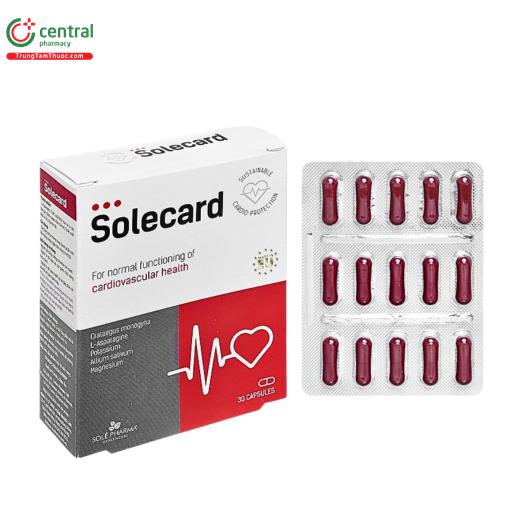 solecard 1 A0805