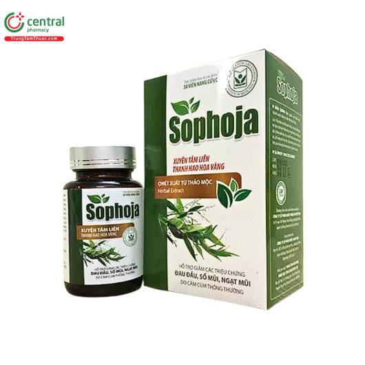 sophoja 1 K4557