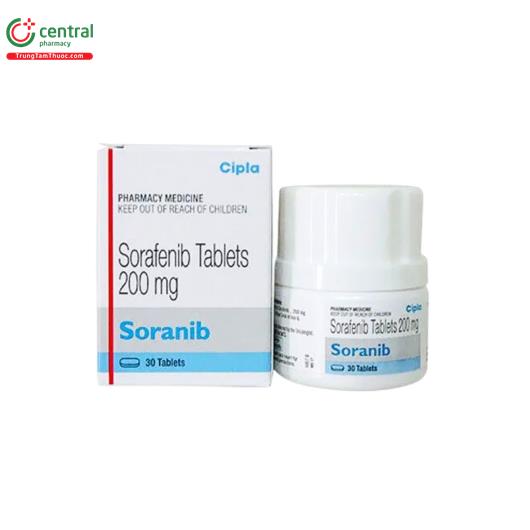 soranib 1 B0488