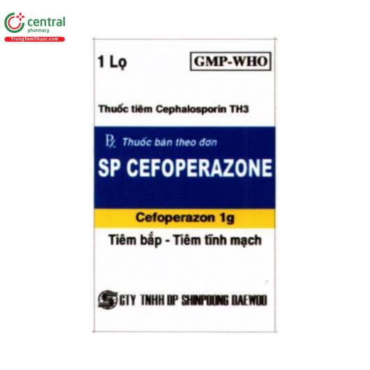 spcefoperazone 1g 1 T8300