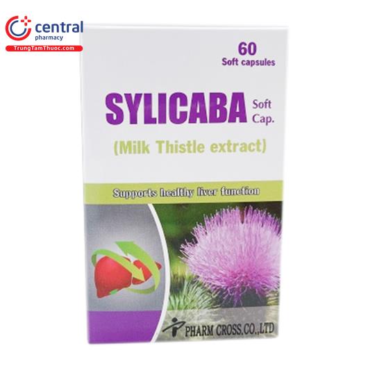 sylicaba soft cap 1 U8454