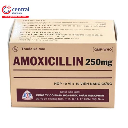 thuoc amoxicillin 250mg mekophar 1 Q6172