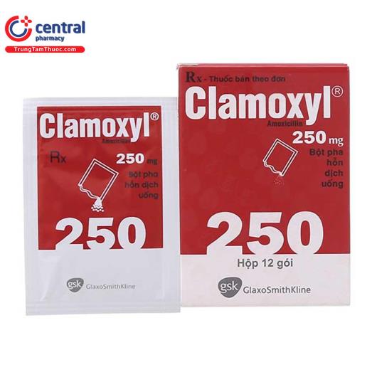 thuoc clamoxyl 250mg 1 O5244