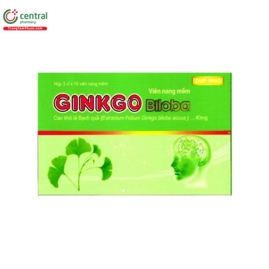 thuoc ginkgobiloba hdpharma 1 O6278