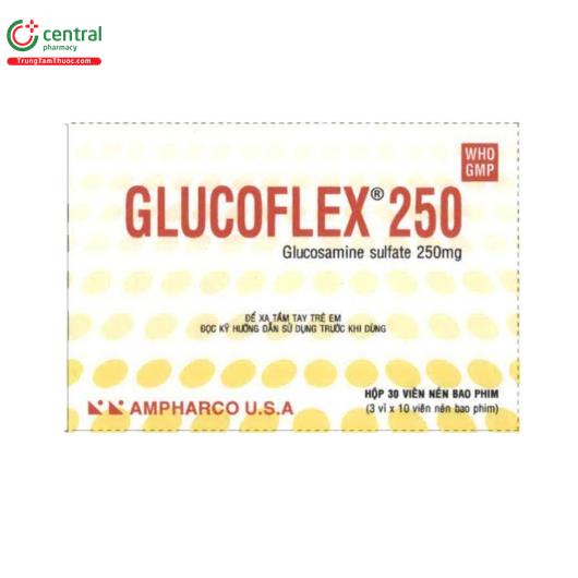 thuoc glucoflex 250mg S7482