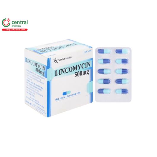 thuoc lincomycin 500mg enlie 1 G2372