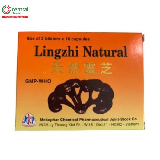thuoc linh chi mekophar 1 E1324