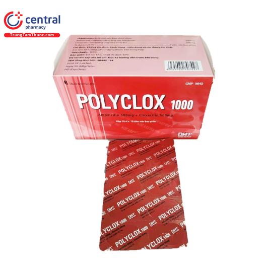 [CHÍNH HÃNG] Thuốc Polyclox 1000 - Thuốc điều trị nhiễm khuẩn hô hấp
